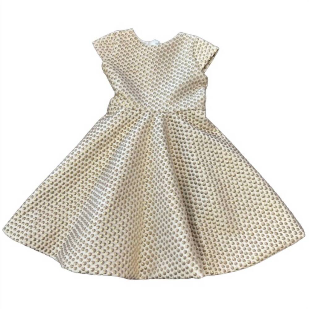 NEW SUSANNE LIVELY girl's bubbles twirl dress in champagne